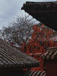 四川綿陽｜七曲山，天下第九座名山。