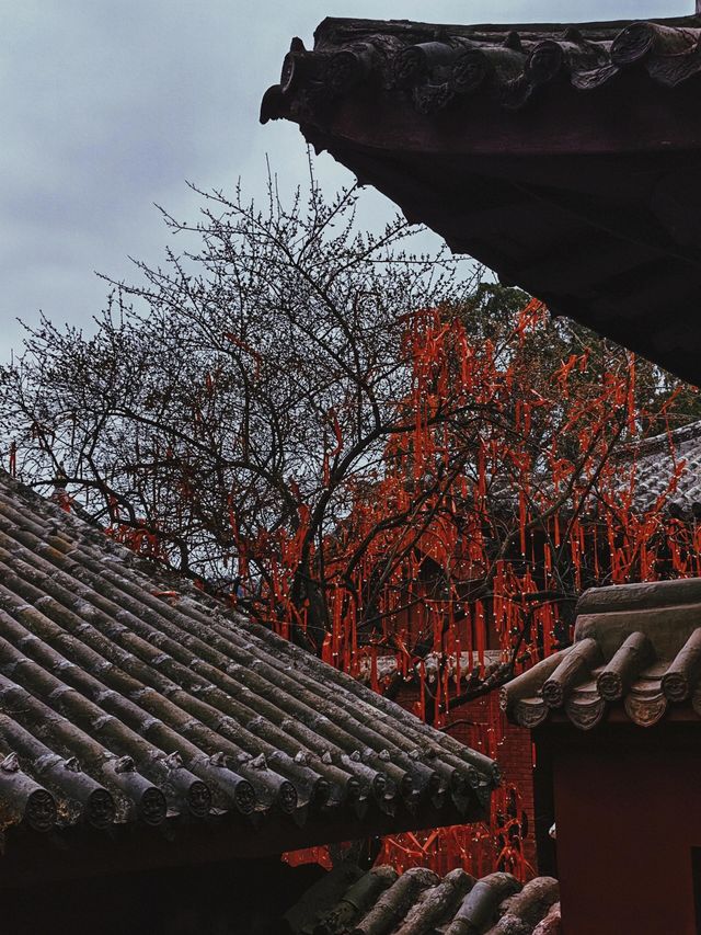 四川綿陽｜七曲山，天下第九座名山。