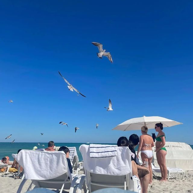 【邁阿密陽光之旅】 探索美國南部的熱帶天堂。