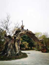 興國寺遊玩攻略