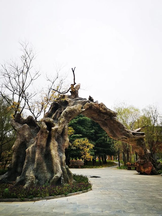 興國寺遊玩攻略