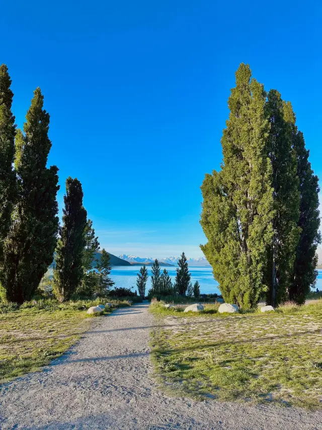 Explore New Zealand on New Year's Day! Discover stunning attractions!