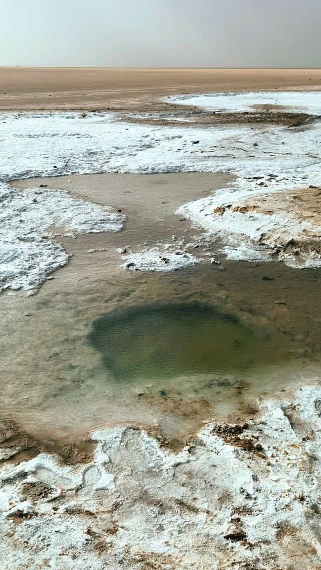 北非摩洛哥突尼斯之旅（21）沙漠綠洲－托澤爾