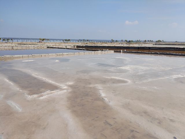 環島旅行——鶯歌海鹽場