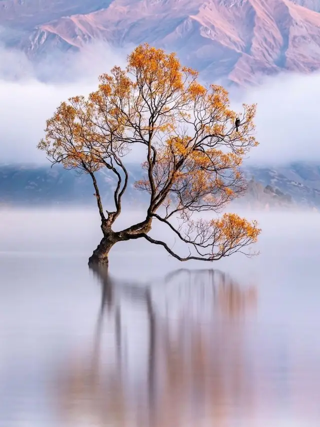 10-Day New Zealand Tour: Popular Attractions for Seniors