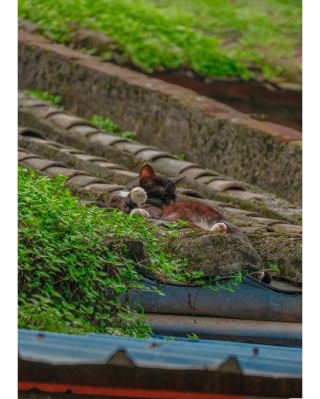Yangxi: Street Photography ||