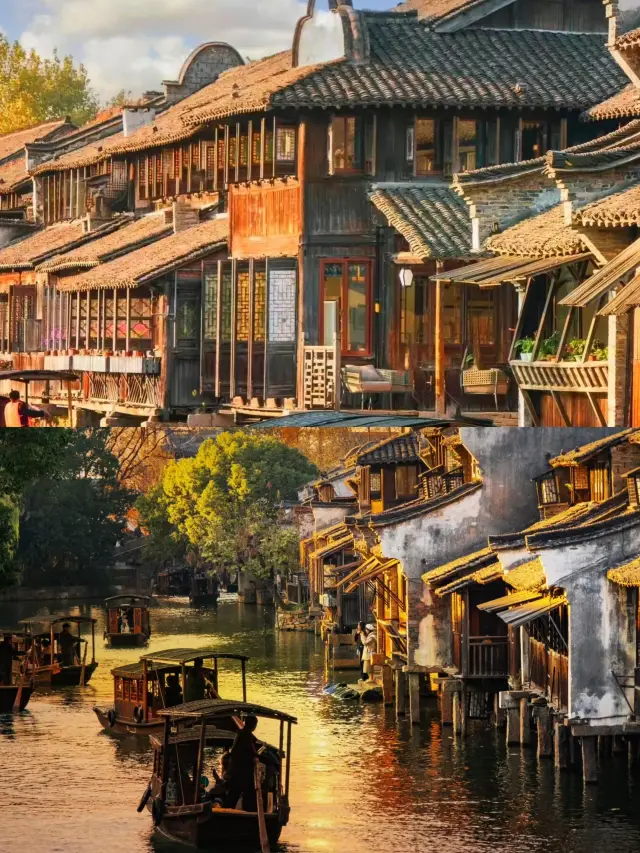 烏鎮︱你一句春不晚，我便到了真江南。