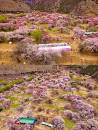 7天暢遊林芝-昌都 超詳細攻略助你玩轉藏東
