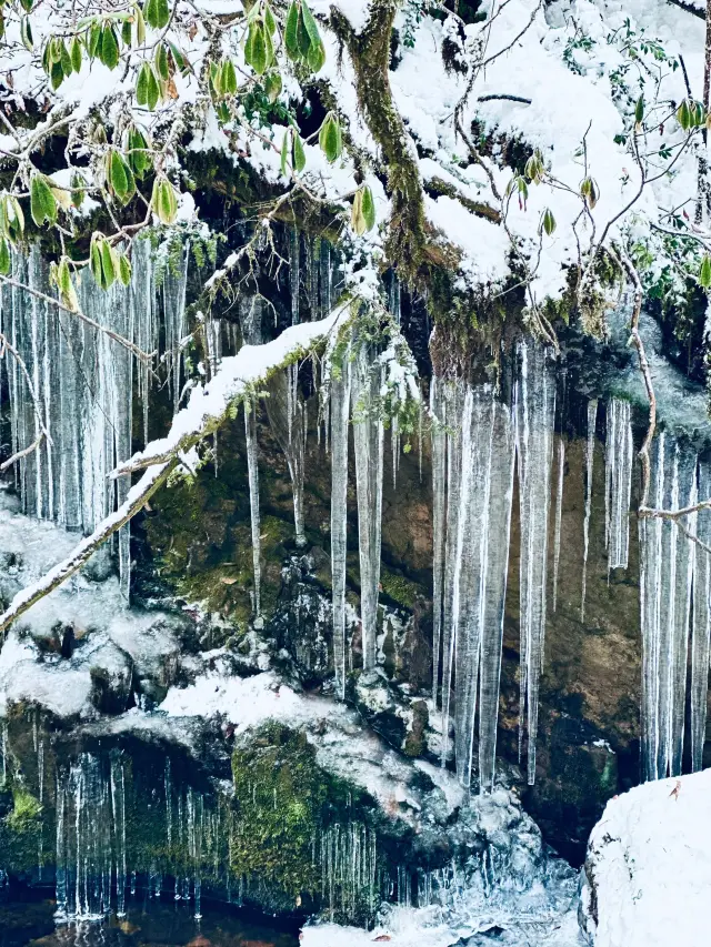 2일간의 야안 여행 초상세 일정 가이드