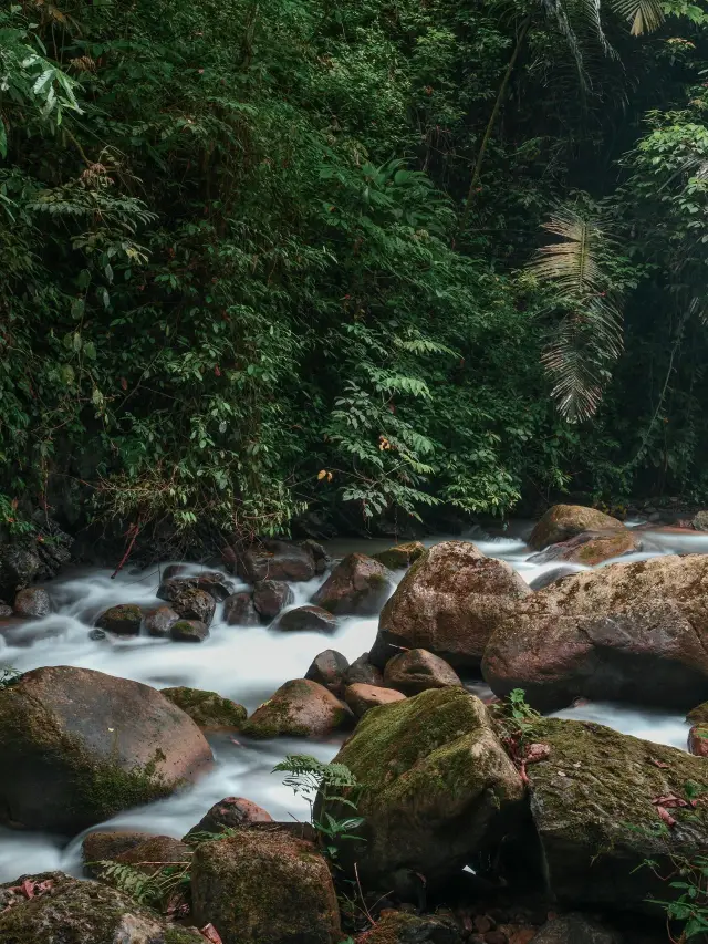 Winter Travel in Nanning, Guangxi - Tongling Grand Canyon: A Hidden Gem Awaits Your Exploration