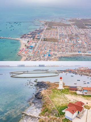 原生態的龍口桑島，村民以養海參為生