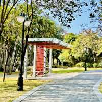 來深圳中心公園逛逛啦