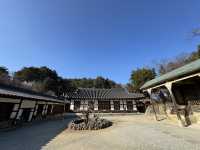 打卡韓國江陵船橋莊