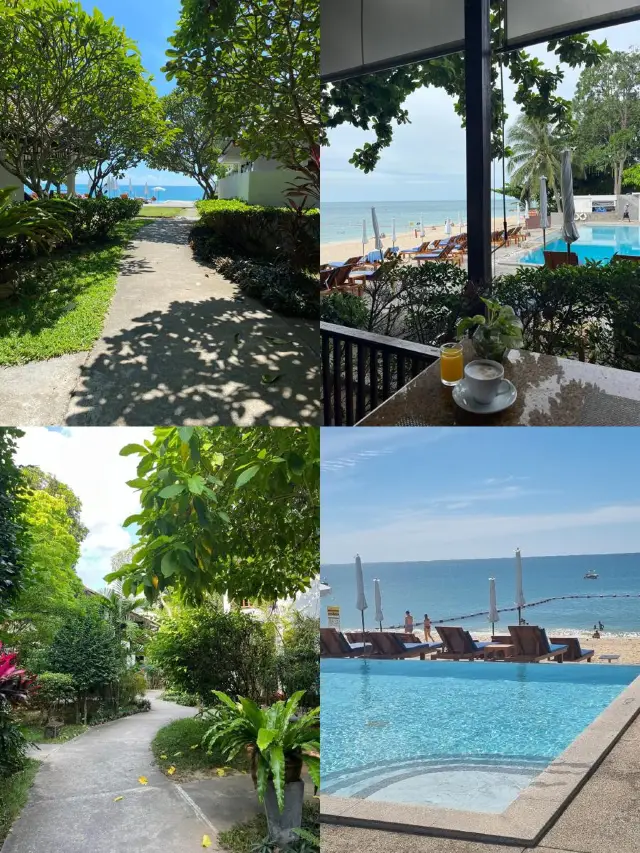 Đảo Koh Samui | Trải nghiệm ấm áp tại Khách sạn Beehive