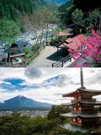 德島兩日遊，感受阿波舞嘅魅力同自然之美！