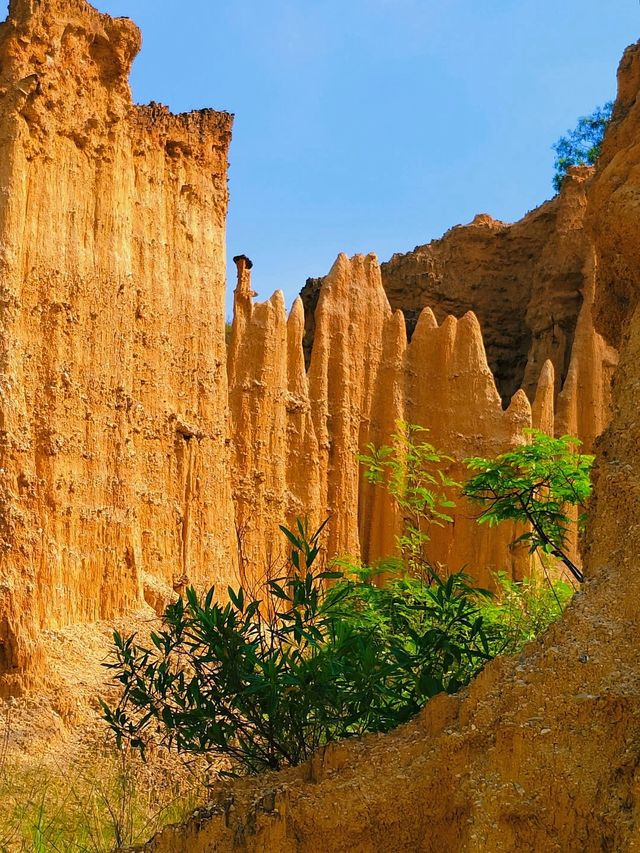 如果你想要一場與眾不同的旅行，那就來元謀土林