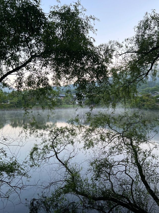 春節去日本 溫暖溫泉等你泡