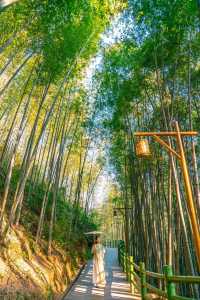 隱藏在廣東最冷門的粵西山城我很怕它會火