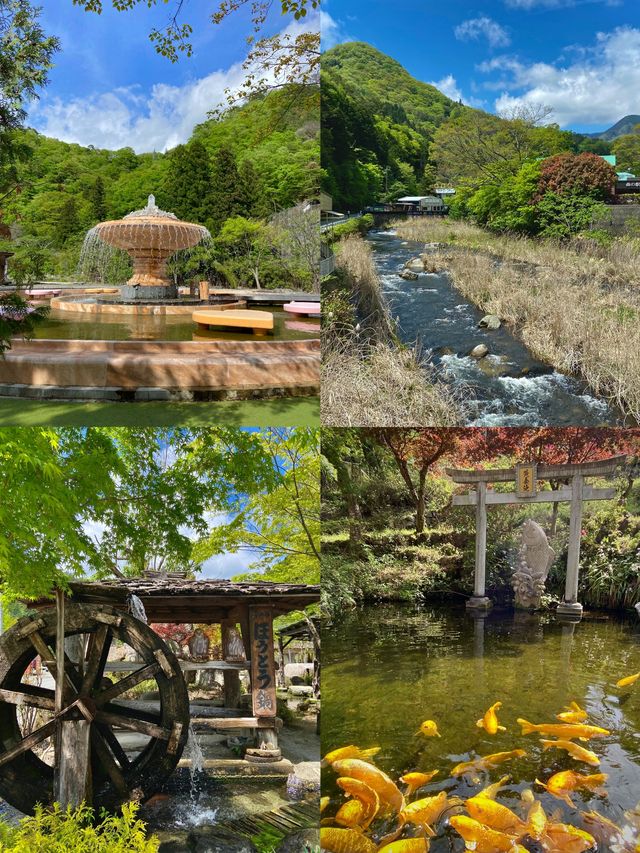 館山市：東京灣畔的悠然逸夢
