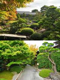 日本•島根縣｜由志園、足立美術館