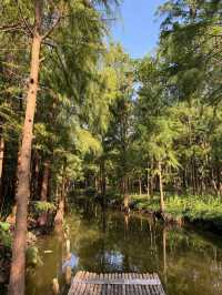 沙家浜-虞山尚湖旅遊攻略