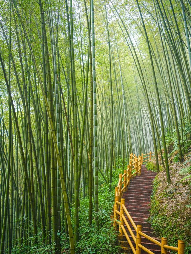 春節反向旅遊宜賓被嚴重低估的徒步秘境！