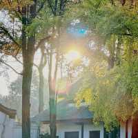 "你知道百花潭公園的這些隱藏景點嗎？來一趟絕對不後悔！"