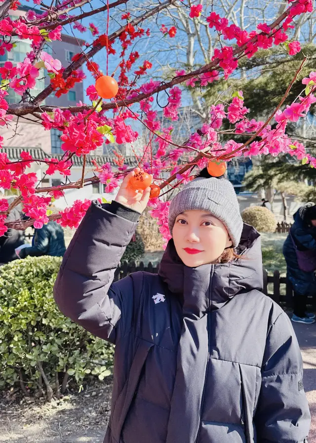 蓮花池公園的廟會