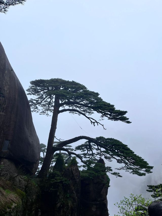 黃山3日深度遊 探秘古鎮古村風光