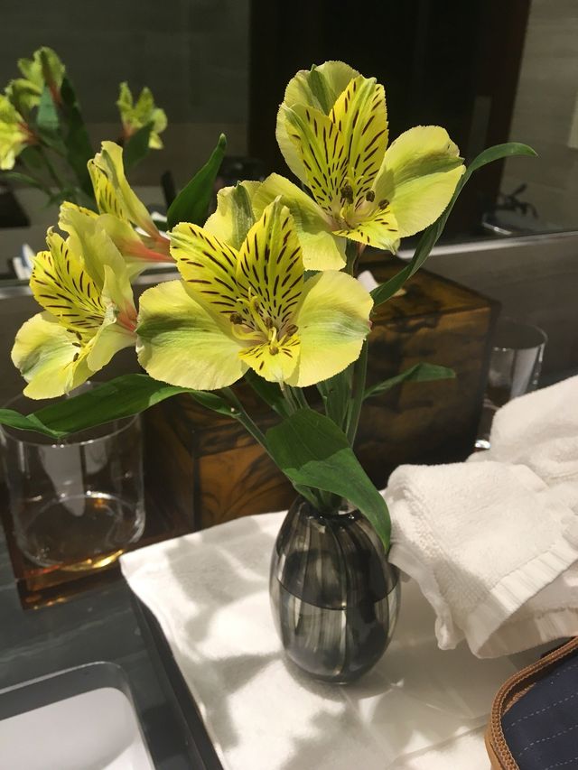 紐約柏悅酒店 | 極致奢華享受