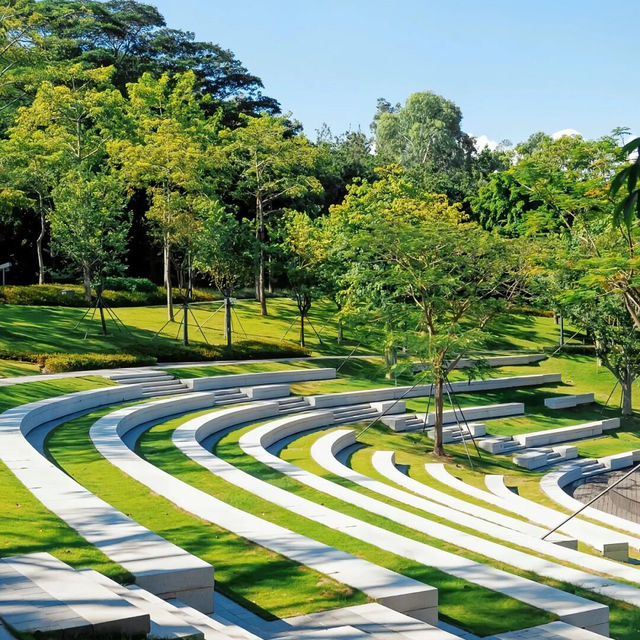 在深圳！地鐵直達！免費的小眾露營公園🌲！！