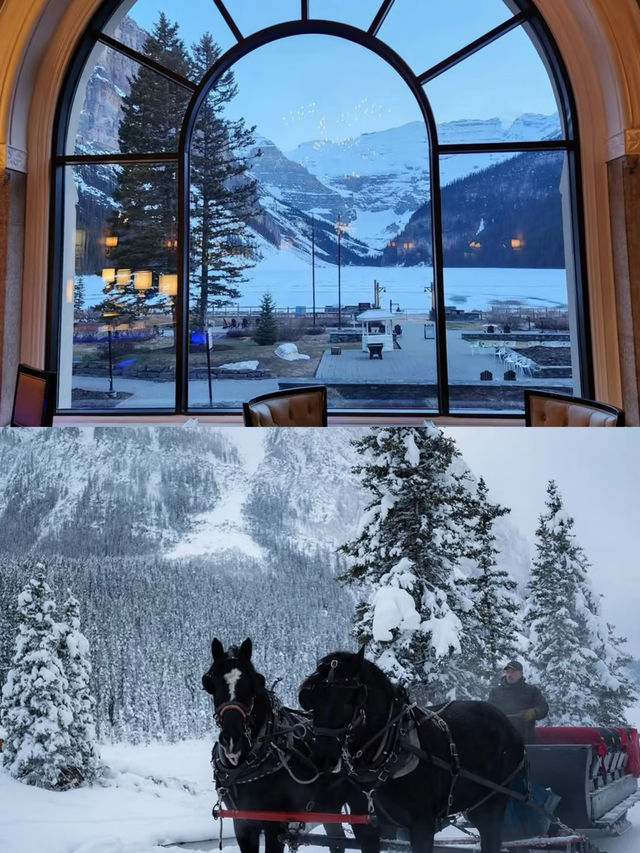 費爾蒙露易絲湖酒店|住在班夫裏面看雪景