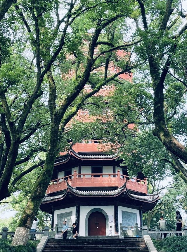 衢州|一定不能錯過的拍照機位