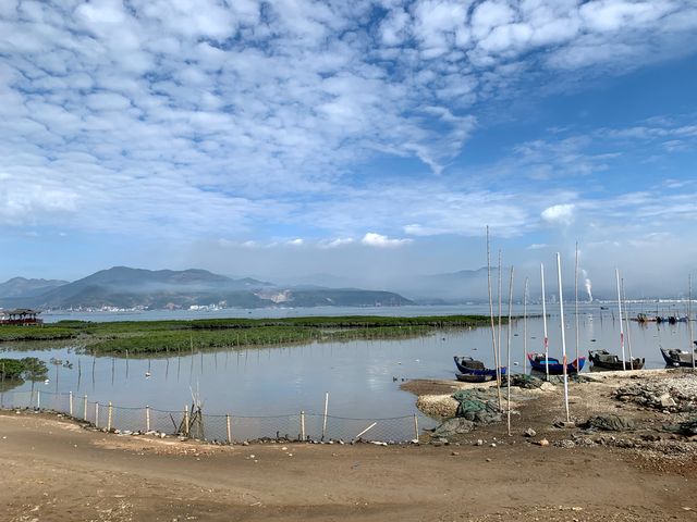 山海紅樹林