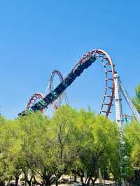 Experience the Thrill of Six Flags Magic Mountain