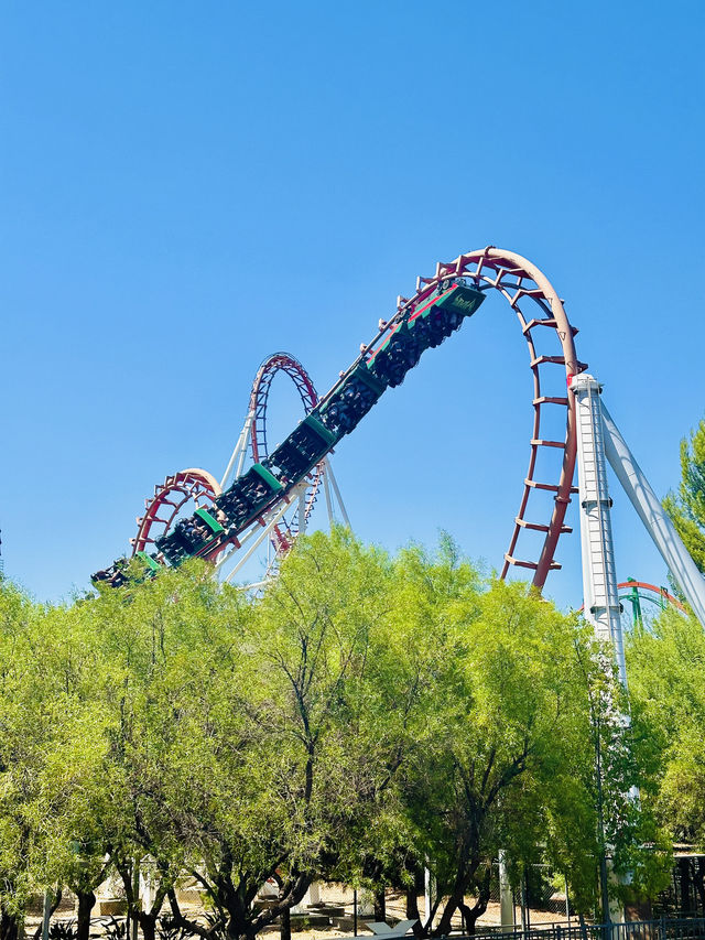 Experience the Thrill of Six Flags Magic Mountain