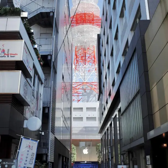 去咗福岡三次,講啲大實話(保證唔刪😅)