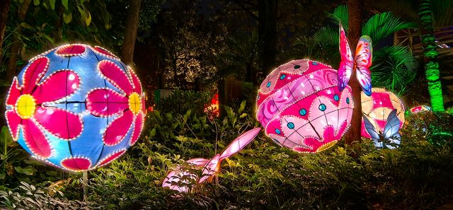 一夜花燈醉