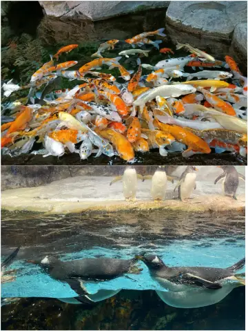 親子遊玩波塞冬，這篇攻略一定要看