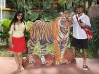 Day Trip to Phuket