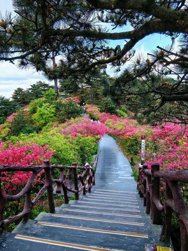 漫遊麻城，遇見湖北最美的山水畫卷，你準備好了嗎