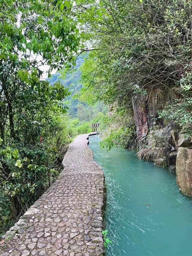 人少景美｜雨季一定要來走一趟馬嶺古道