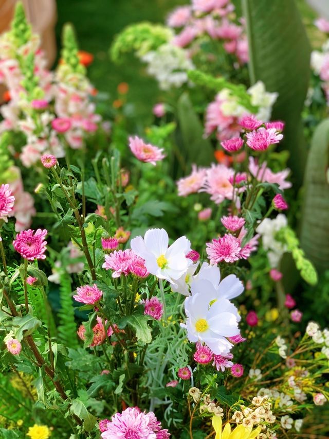 市中心的莫奈花園，蘇河灣萬象天地