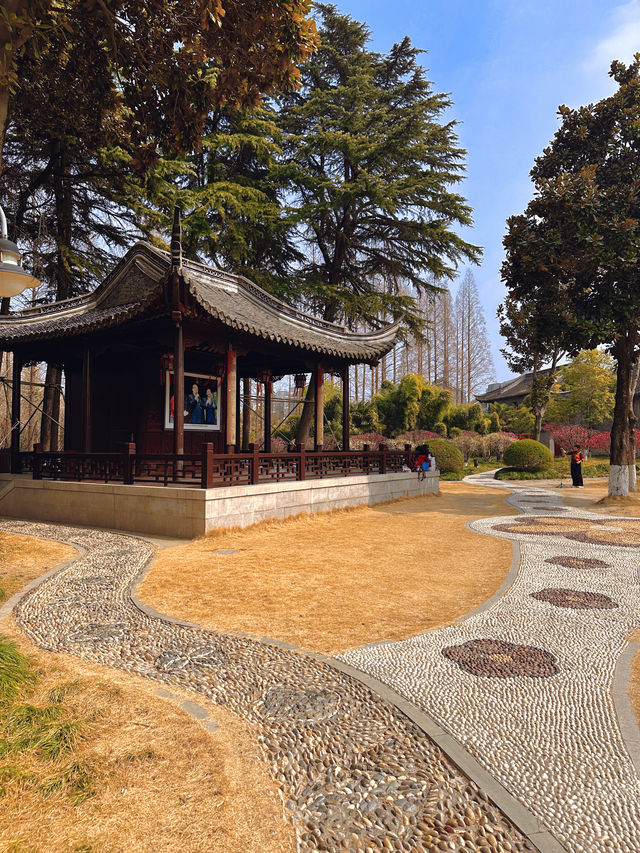 泰州梅園：蛇年新春，邂逅梅香雅韻
