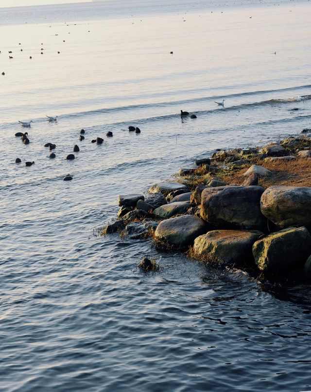 來到大理總要看一次日出,才算不虛此行吧 來到大理總要看一次日出,才算不虛此行吧