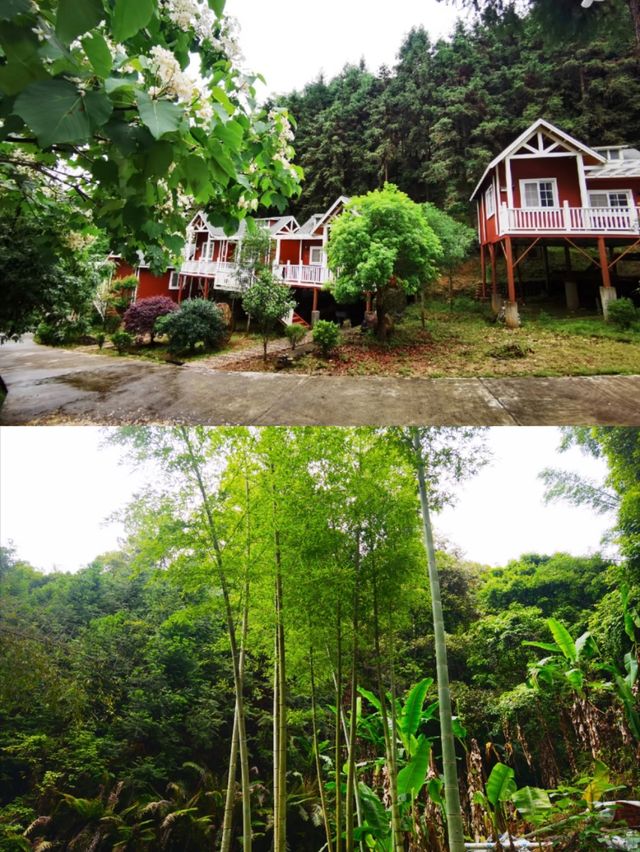 蛇年逃離城市計劃｜將樂在水一方休閒山莊