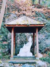 杭州淨慈禪寺超全攻略 祈福賞景兩不誤