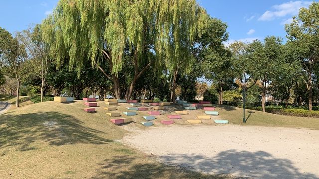上海嘉北郊野公園嘅秋季遊記：金色稻田與田園風光