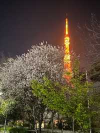 在東京鐵塔的星光下邂逅一場粉雪盛宴