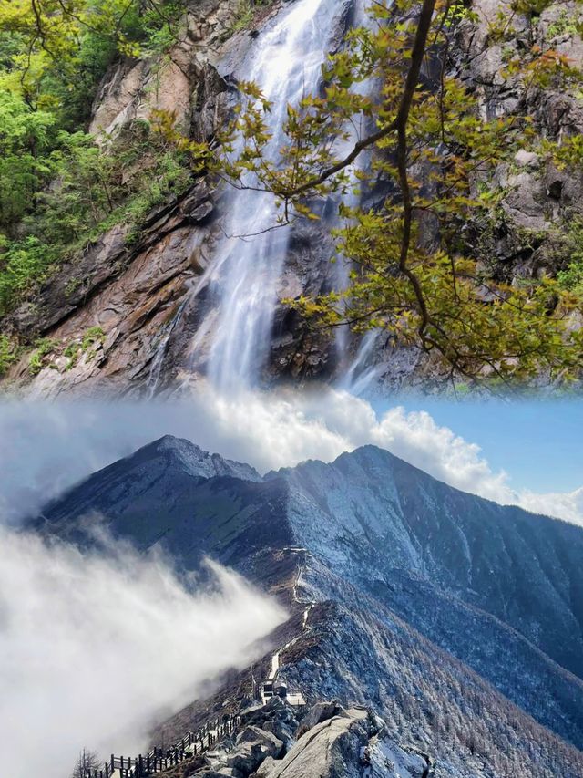 山頂嘅風景總要自己去睇吓~~